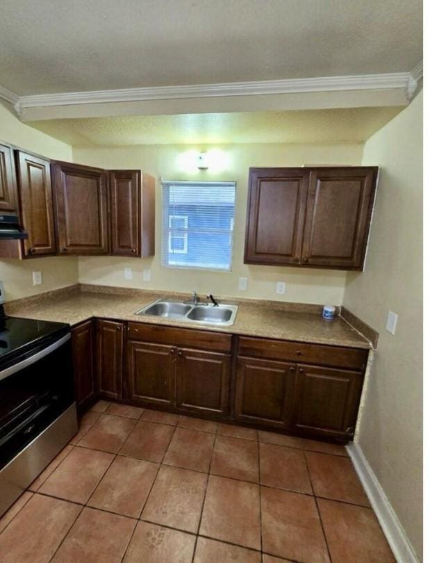 kitchen with crown molding, sink, exhaust hood, and stainless steel range with electric cooktop