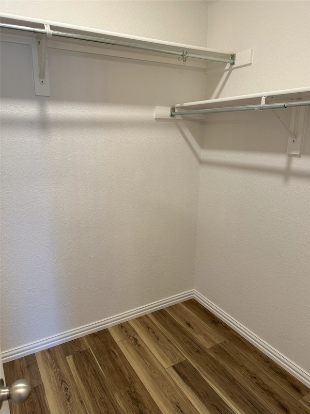 walk in closet with wood-type flooring