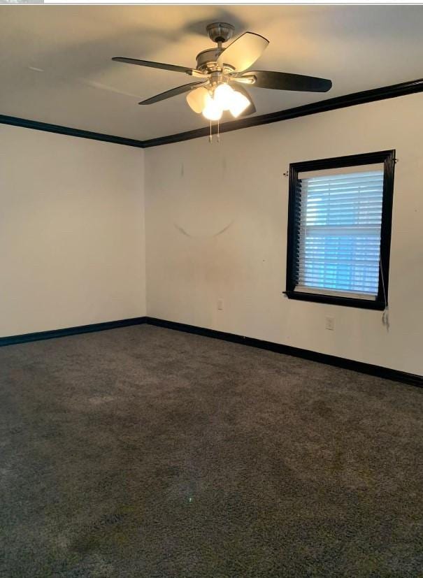 spare room featuring crown molding, ceiling fan, and dark carpet