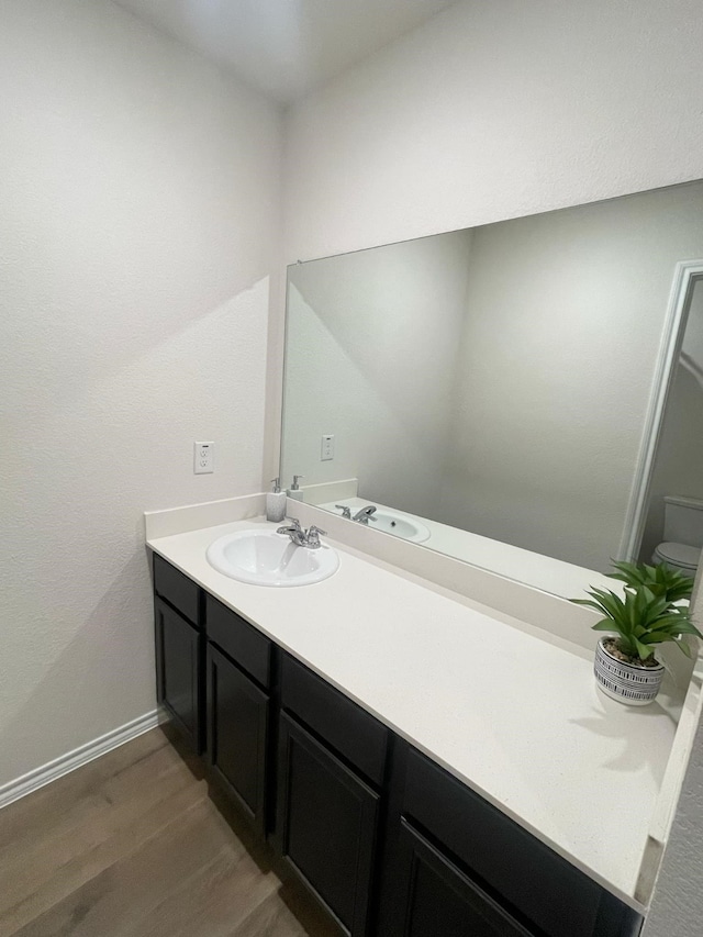 bathroom with wood-type flooring and vanity