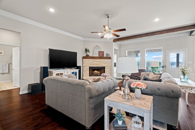 living room with crown molding, a fireplace, and dark hardwood / wood-style flooring