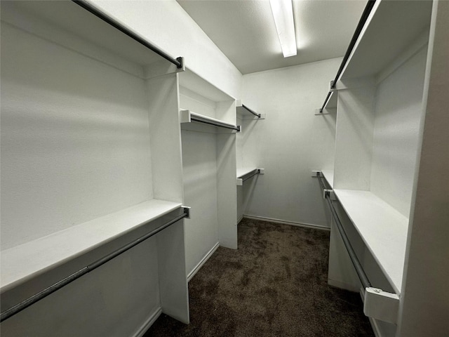 walk in closet with dark carpet