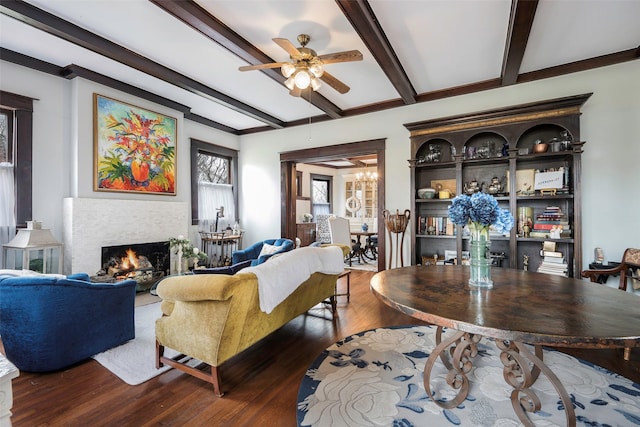 living room with beamed ceiling, dark hardwood / wood-style floors, and ceiling fan with notable chandelier