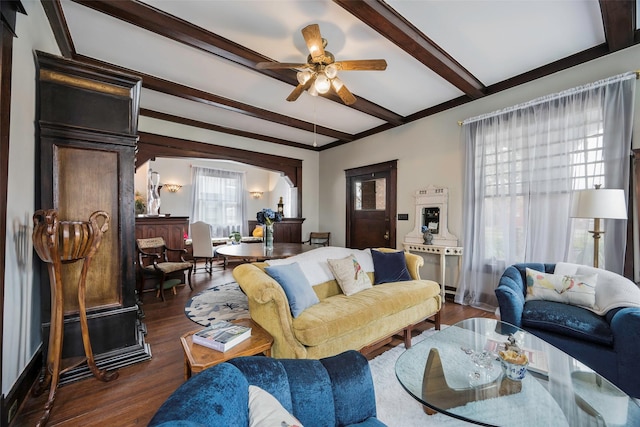 living room featuring beam ceiling, dark hardwood / wood-style floors, and ceiling fan