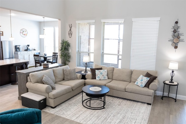 living room featuring light hardwood / wood-style floors