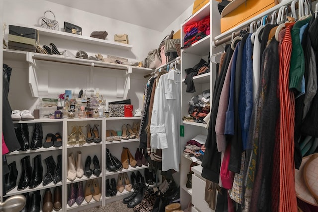 view of spacious closet