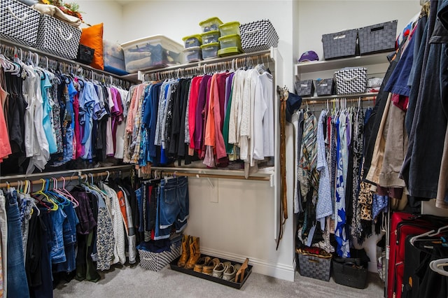 walk in closet featuring carpet flooring