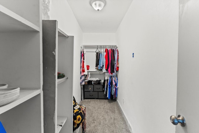 walk in closet with light carpet