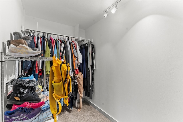 spacious closet featuring carpet