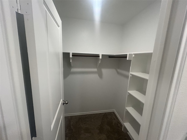 walk in closet featuring dark colored carpet