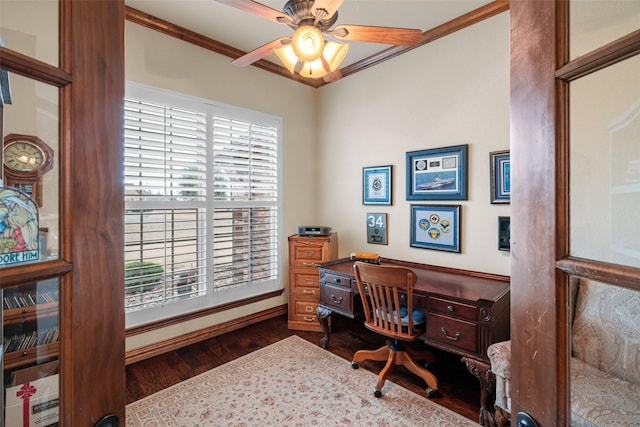 home office with dark hardwood / wood-style flooring, ornamental molding, and ceiling fan