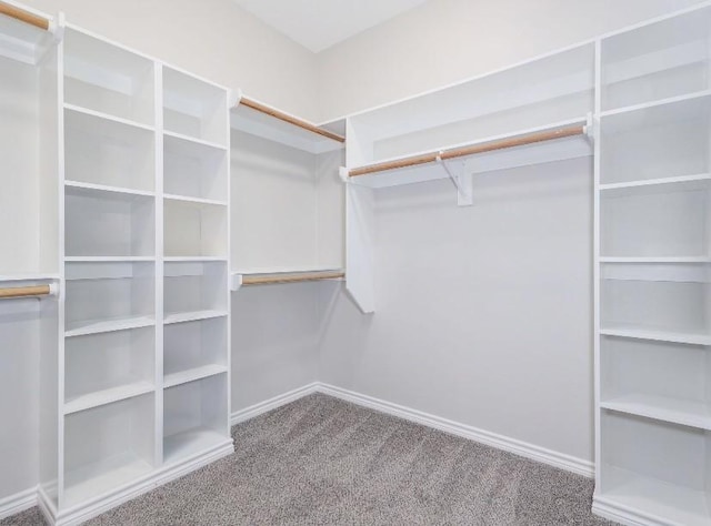 walk in closet with carpet flooring