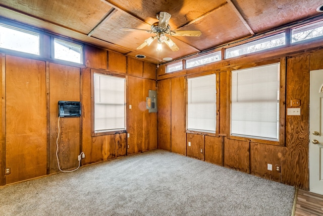 carpeted empty room with wooden walls and a wealth of natural light