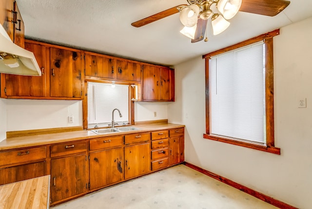 kitchen with sink, a wealth of natural light, and ceiling fan