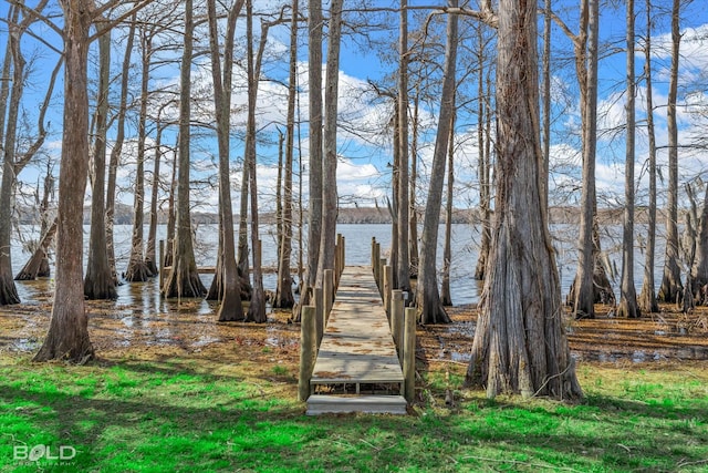 view of yard with a boat dock and a water view