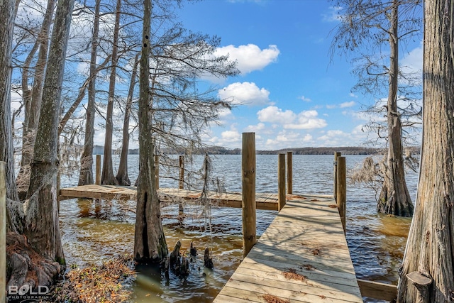 view of dock with a water view