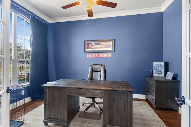 office featuring ornamental molding, wood-type flooring, and ceiling fan