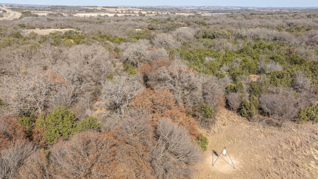 Listing photo 3 for TBD County Road 251, Comanche TX 76442