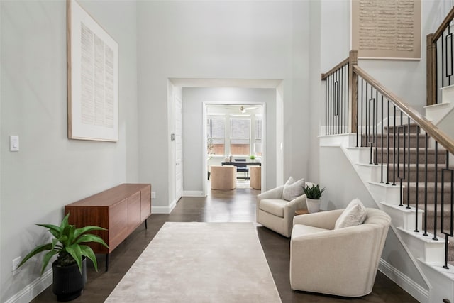 foyer entrance with a high ceiling and dark hardwood / wood-style flooring