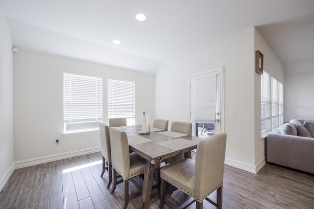 dining room featuring hardwood / wood-style flooring and plenty of natural light