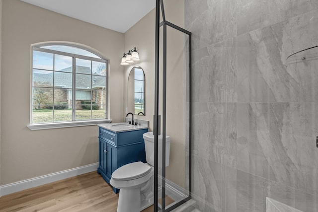 bathroom featuring vanity, toilet, a shower with door, and wood-type flooring