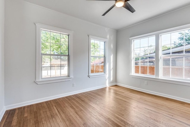 empty room featuring ceiling fan and light wood-type flooring