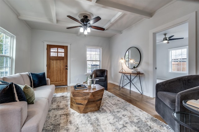 living room with hardwood / wood-style floors, ceiling fan, a wealth of natural light, and beam ceiling