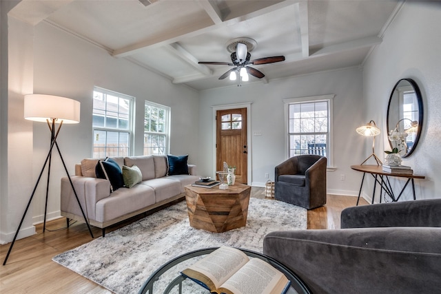 living room featuring coffered ceiling, ceiling fan, beamed ceiling, and light wood-type flooring