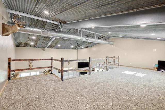 basement featuring carpet