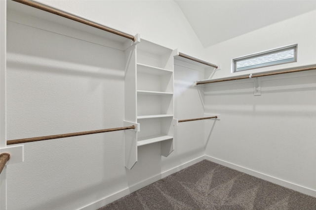 walk in closet featuring vaulted ceiling and carpet