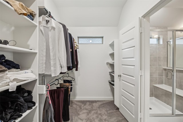 spacious closet featuring carpet