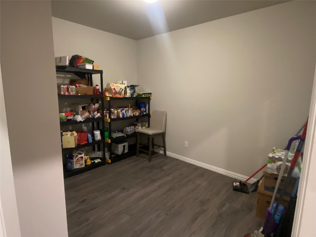 storage featuring dark hardwood / wood-style floors