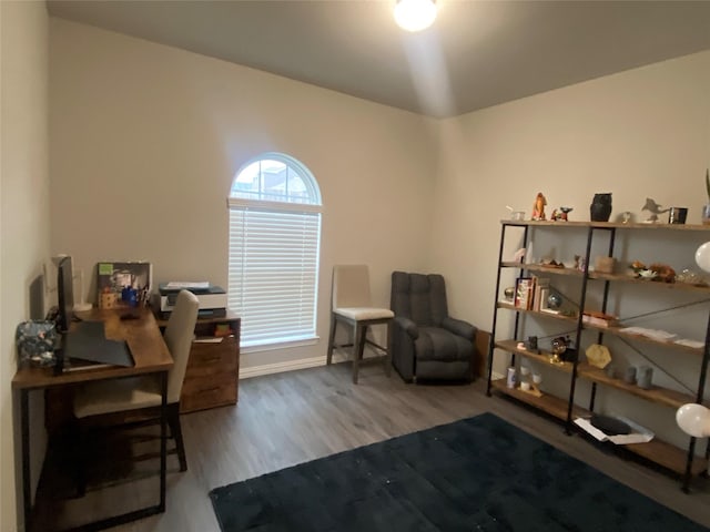 sitting room with hardwood / wood-style flooring