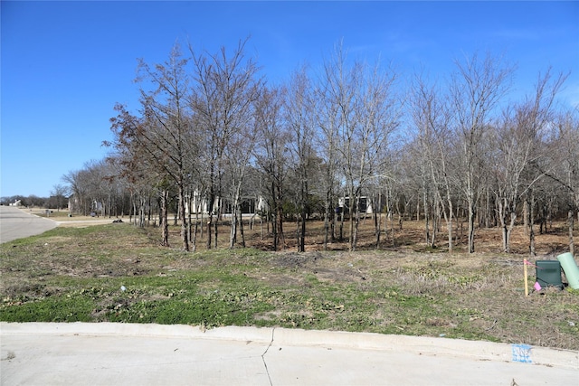 Listing photo 2 for 4068 Weeping Oak, Royse City TX 75189