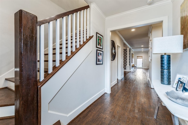 hallway featuring crown molding and wood-type flooring