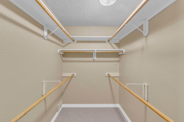 spacious closet with carpet