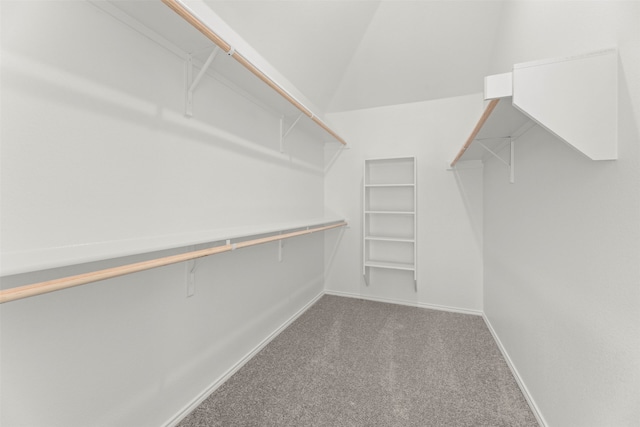 walk in closet with vaulted ceiling and carpet