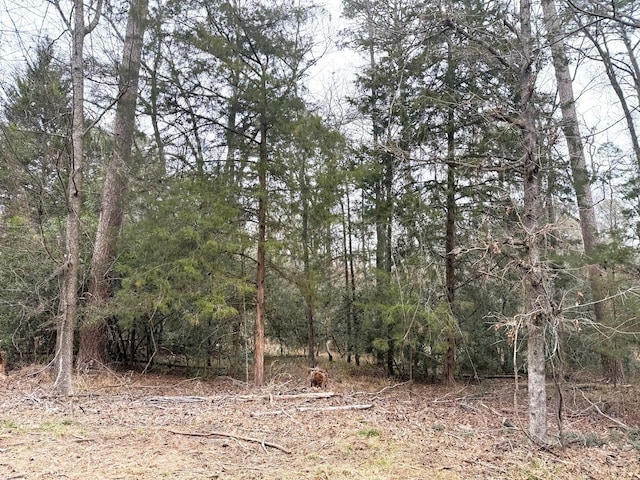 LOTS316 Brazos Bnd, Holly Lake Ranch, TX 75765