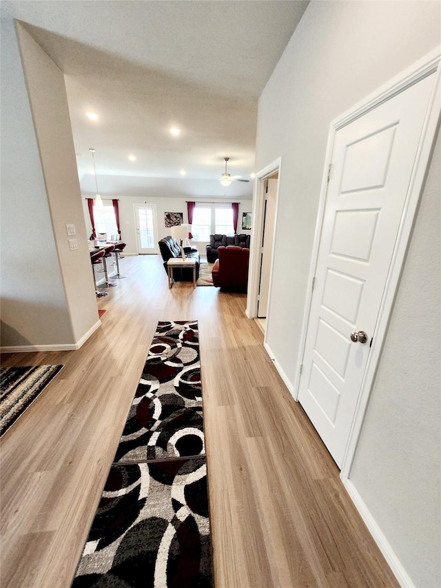 hall featuring light hardwood / wood-style flooring