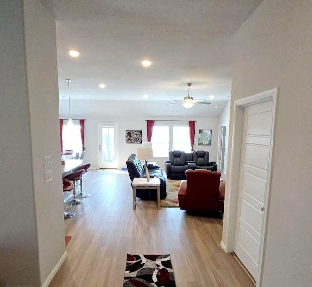 living room featuring ceiling fan and light hardwood / wood-style flooring