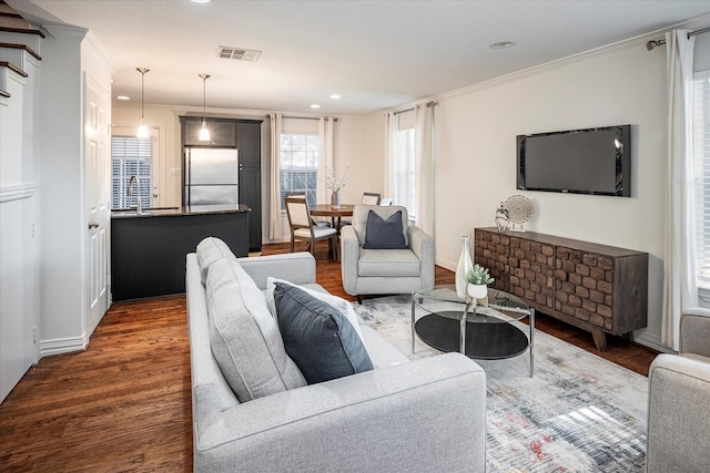 living room with ornamental molding, dark hardwood / wood-style flooring, and sink