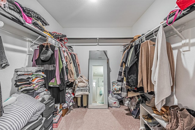 walk in closet featuring carpet floors