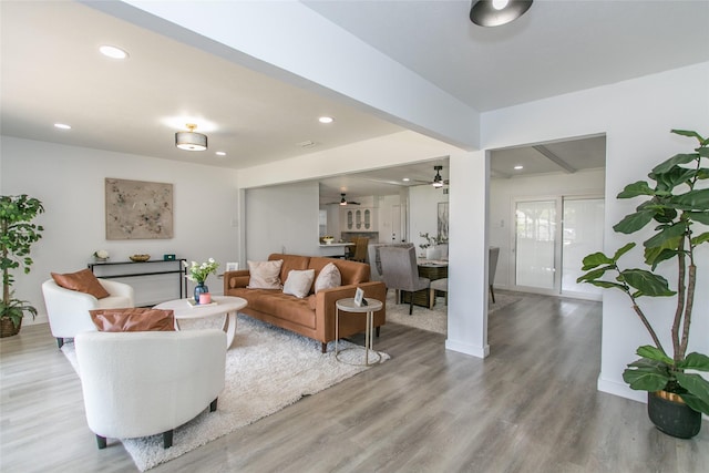 living room with ceiling fan and light hardwood / wood-style flooring