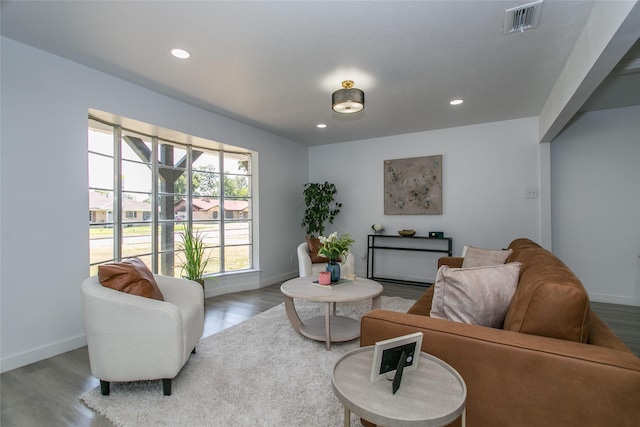 living room with hardwood / wood-style floors