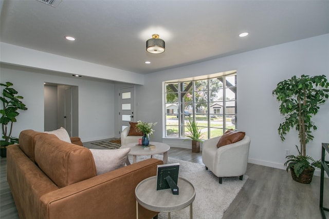 living room featuring hardwood / wood-style flooring