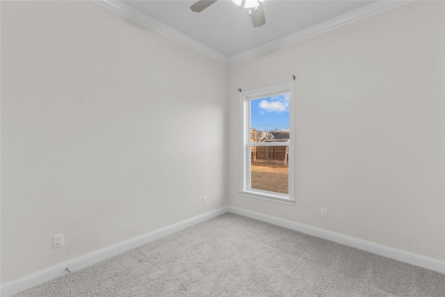 spare room featuring ceiling fan, ornamental molding, and carpet floors