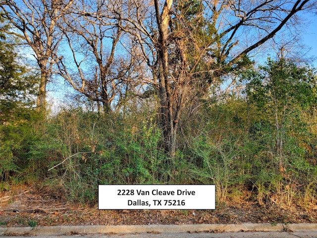 2228 Van Cleave Dr, Dallas TX, 75216 land for sale