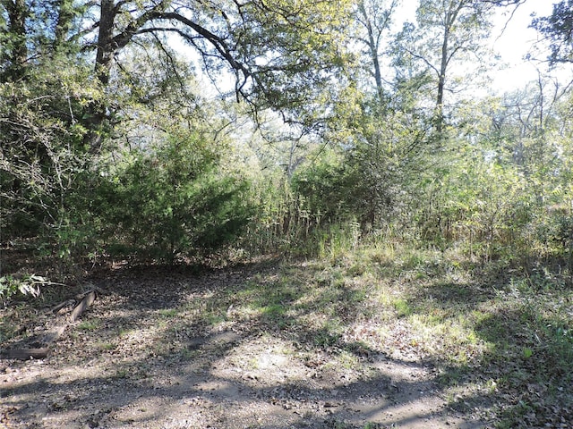 Listing photo 2 for 0 Tempie Rd, Trinidad TX 75163