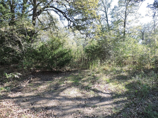 Listing photo 3 for 0 Tempie Rd, Trinidad TX 75163