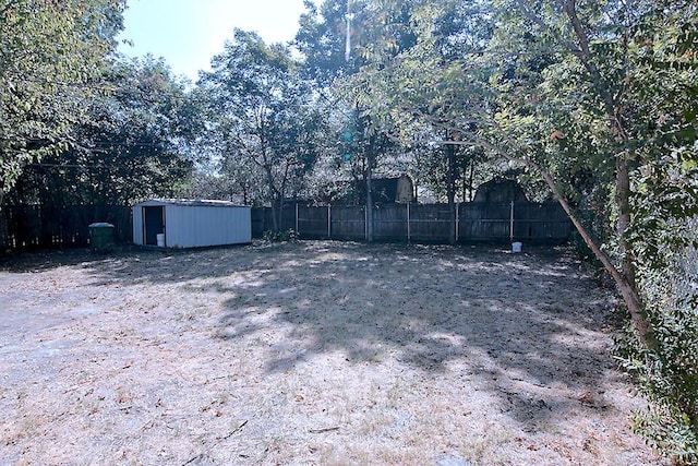 view of yard with a storage shed